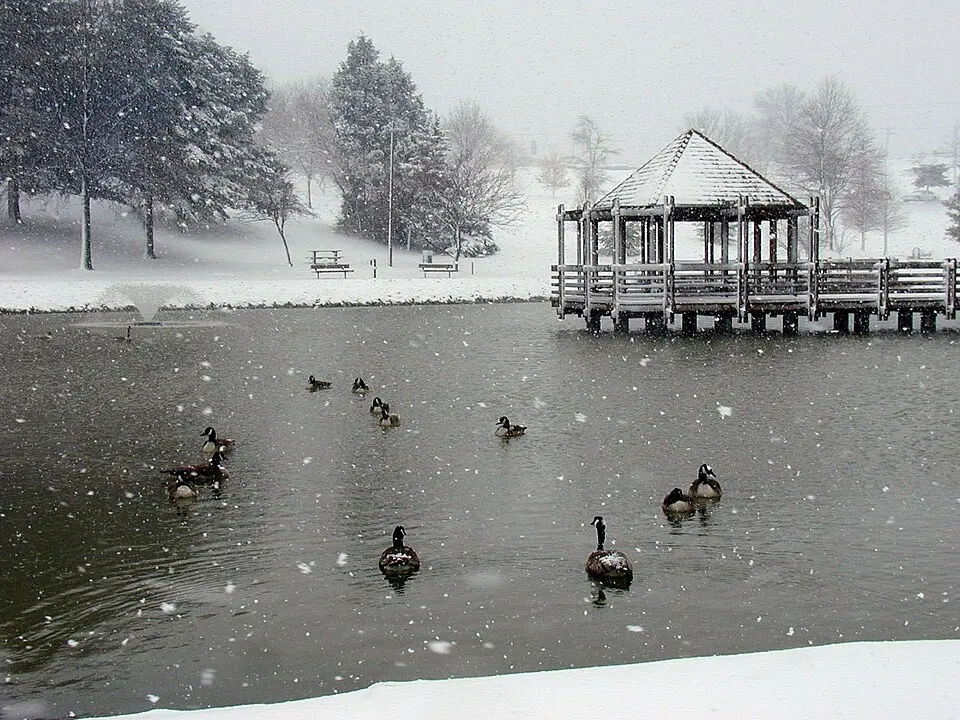 Ballwin, MO
